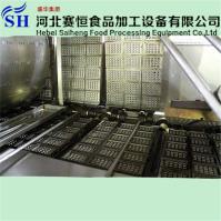 Hebei Saiheng Food Processing Equipment Co.,Ltd image 32